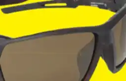 Big 5 Bolle Sunrise 2.0 Polarized Sunglasses offer