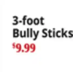 Ocean State Job Lot 3-foot Bully Sticks offer