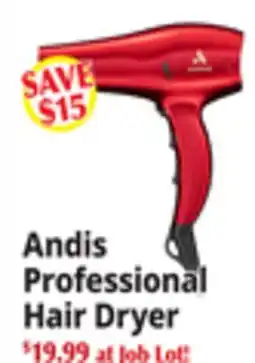 Ocean State Job Lot Professional Hair Dryer offer