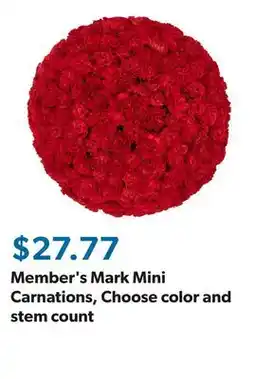 Sam's Club Member's Mark Mini Carnations, Choose color and stem count offer