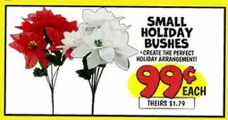 Ollie's SMALL HOLIDAY BUSHES offer