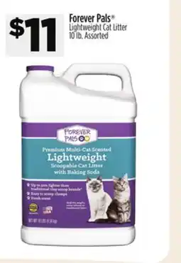 Dollar General Forever Pals Lightweight Cat Litter offer
