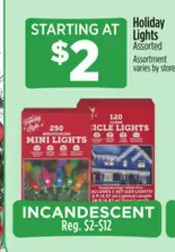 Dollar General Holiday Lights offer