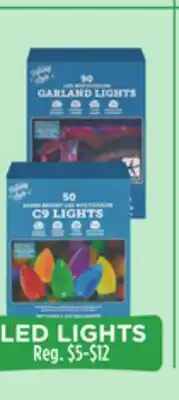 Dollar General LED LIGHTS offer