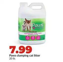 Hy-Vee Paws clumping cat litter offer