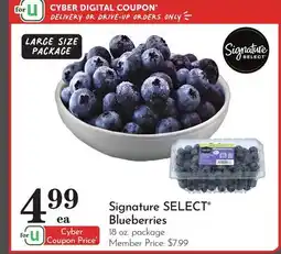 Pavilions Signature SELECT Blueberries offer