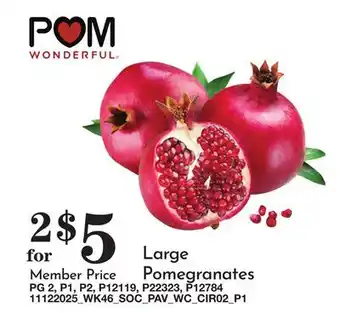 Pavilions Large Pomegranates offer