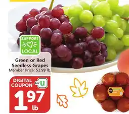 Vons Green or Red Seedless Grapes offer
