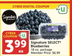 Albertsons Signature SELECT Blueberries offer