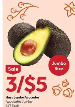 Stater Bros Hass Jumbo Avocados offer