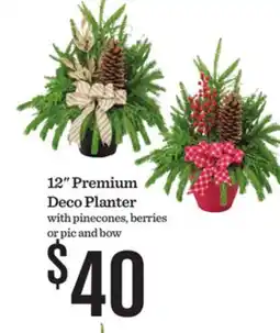 Mariano's 12 Premium Deco Planter offer