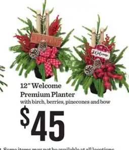 Mariano's 12 Welcome Premium Planter with offer