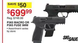 Dunham's Sports P365 MACRO OR P365 FUSE 9MM offer