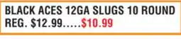 Dunham's Sports HORNADY BLACK 12GA SLUGS 10 ROUND offer