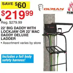 Dunham's Sports 22' BIG DADDY WITH LOCKJAW OR 22' MAC DADDY DELUXE LADDER offer
