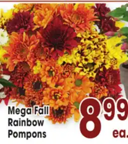 Jewel-Osco Mega Fall Rainbow Pompons offer