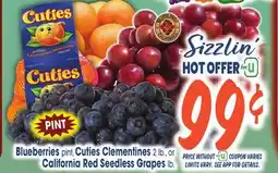 Jewel-Osco Blueberries pint, Cuties Clementines or 2 lb., or California Red Seedless Grapes lb offer