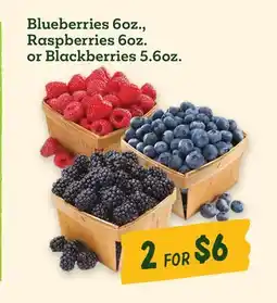 Sprouts Farmers Market Blueberries 6oz., Raspberries 6oz. or Blackberries 5.6oz offer
