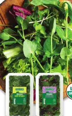Fresh Thyme Fresh Thyme Organic Salad offer