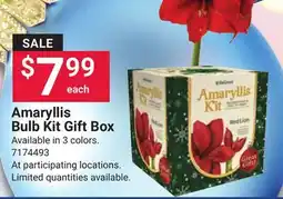 Ace Hardware Amaryllis Bulb Kit Gift Box offer