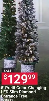 Ace Hardware 5' Prelit Color-Changing LED Slim Diamond Entrance Tree offer