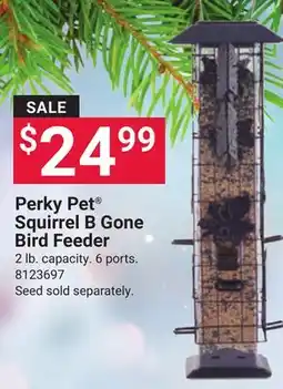 Ace Hardware Perky Pet Squirrel B Gone Bird Feeder offer