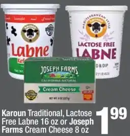 Super King Markets Karoun Traditional, Lactose Free Labne offer