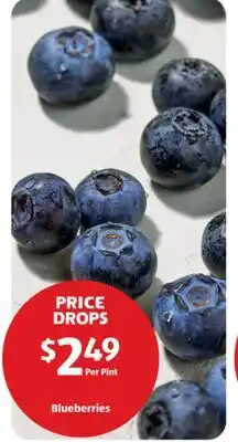 Aldi Blueberries offer