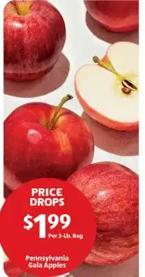 Aldi Pennsylvania Gala Apples offer