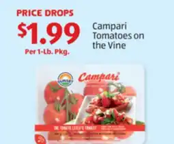 Aldi Campari Tomatoes on the Vine offer