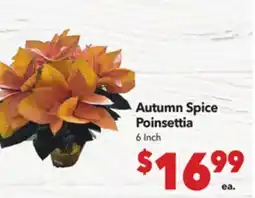 Vallarta Supermarkets Autumn Spice Poinsettia offer