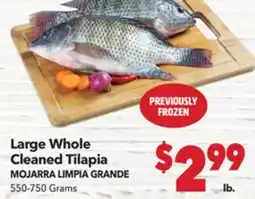 Vallarta Supermarkets Large Whole Cleaned Tilapia / MOJARRA LIMPIA GRANDE offer