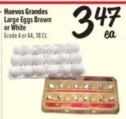 El Super Large Eggs Brown or White offer
