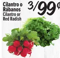 El Super Cilantro or Red Radish offer