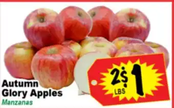 Superior Grocers Autumn Glory Apples offer