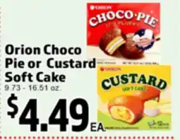Superior Grocers Orion Choco Pie or Custard Pie Soft offer