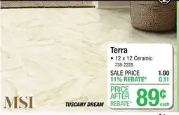 Menards Terra offer