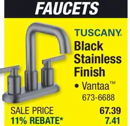 Menards Black Stainless Finish offer