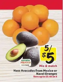 Winn Dixie Hass Avocados from Mexico or Navel Oranges offer