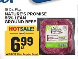 Food Lion Nature's Promise 86% Lean Ground Beef offer
