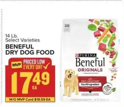 Food Lion Beneful Dry Dog Food offer