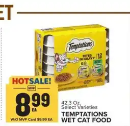 Food Lion Temptations Wet Cat Food offer