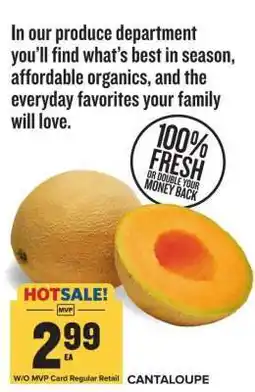 Food Lion Cantaloupe offer