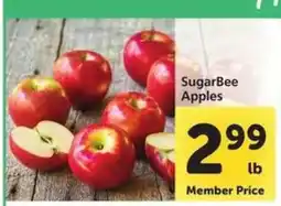 Safeway SugarBee Apples offer