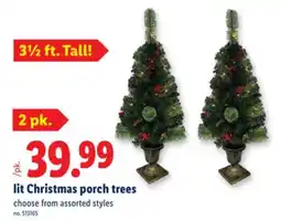 Lidl lit Christmas porch trees offer