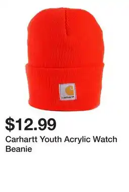 Dick's Sporting Goods Carhartt Youth Acrylic Watch Beanie offer