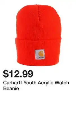 Dick's Sporting Goods Carhartt Youth Acrylic Watch Beanie offer