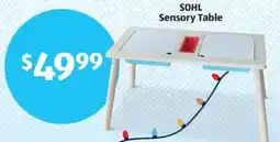 Aldi SOHL Sensory Table offer