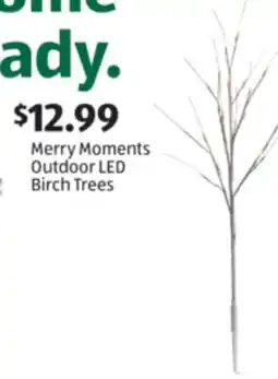 Aldi Merry Moments Outdoor LED Birch Trees offer