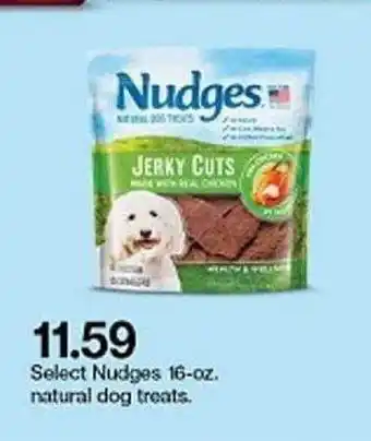 Target Select Nudges 16-oz Natural Dog Treats offer